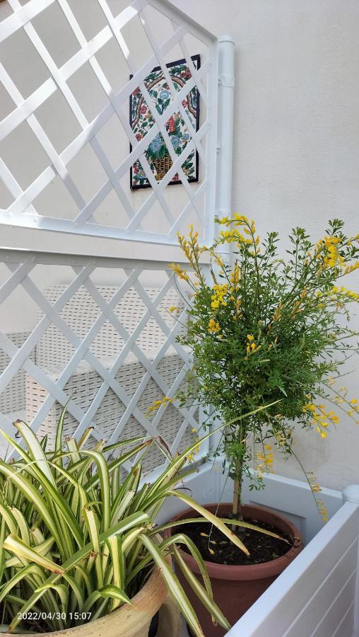 Villa Con Piscina Uso Esclusivo Mazara del Vallo Buitenkant foto
